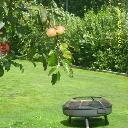 Ferienhaus Deichbrise * Niebüll